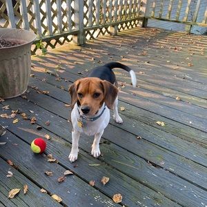 Meet your Posher, Sandra